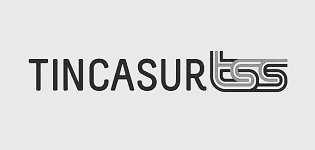 Tincasur